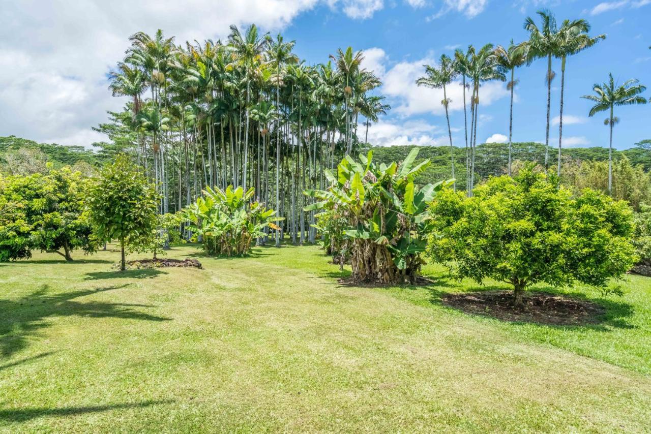 Old Hawaiian Bed And Breakfast Hilo Dış mekan fotoğraf