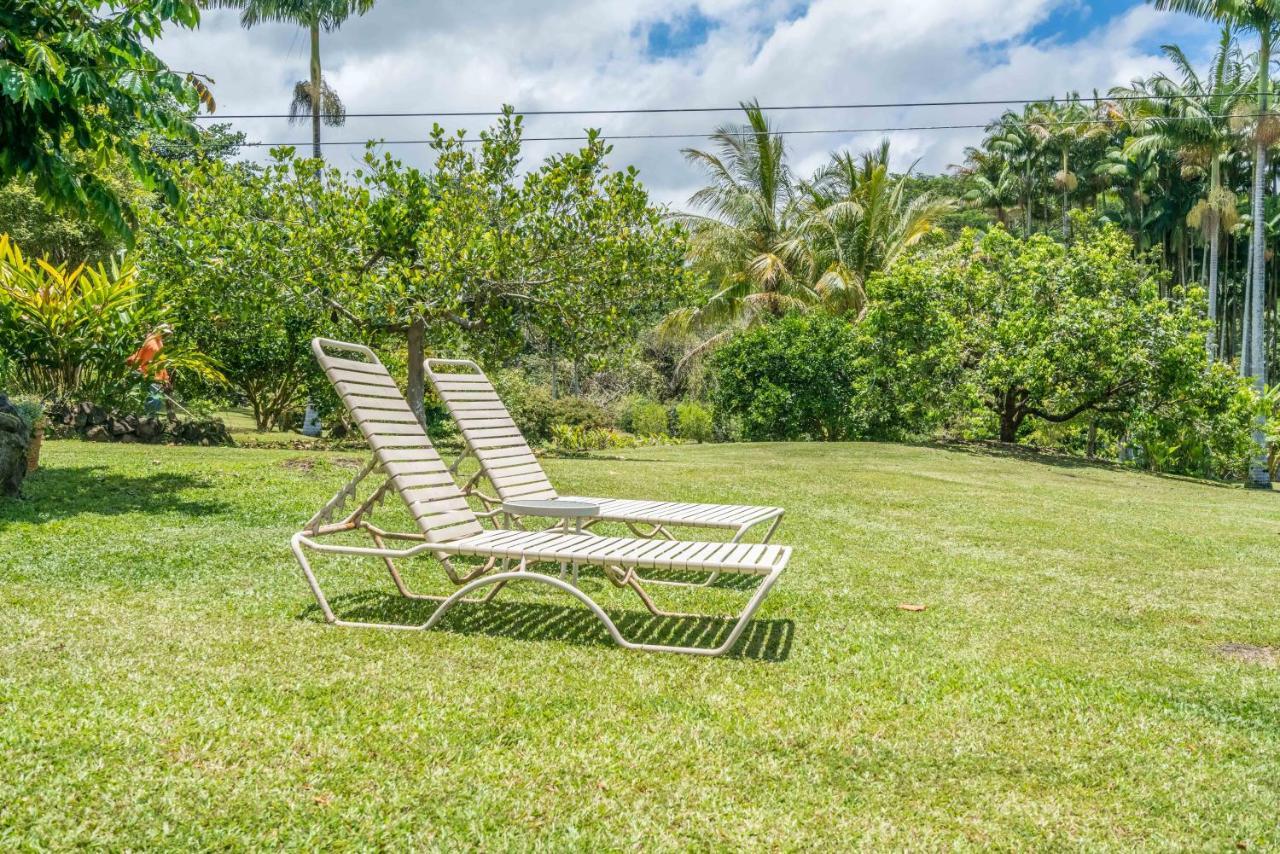 Old Hawaiian Bed And Breakfast Hilo Dış mekan fotoğraf