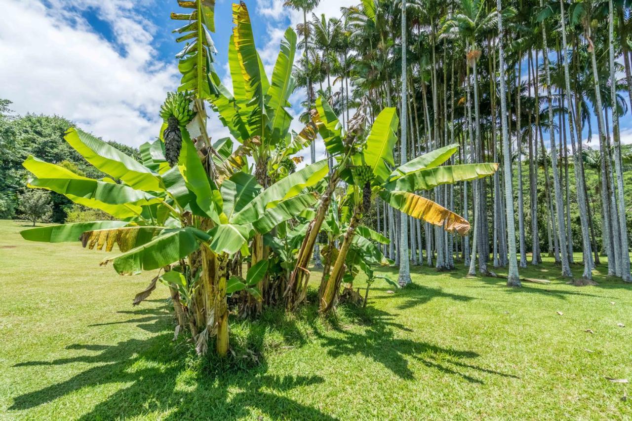 Old Hawaiian Bed And Breakfast Hilo Dış mekan fotoğraf