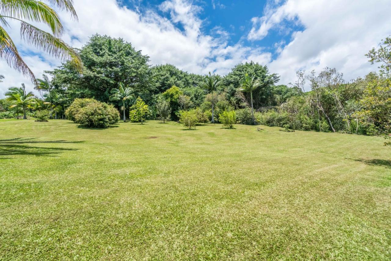 Old Hawaiian Bed And Breakfast Hilo Dış mekan fotoğraf