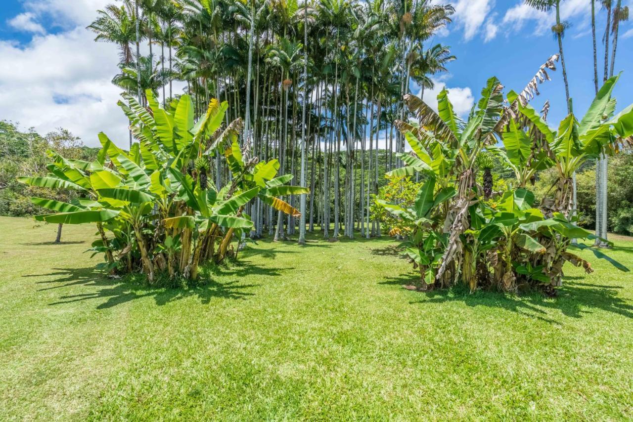 Old Hawaiian Bed And Breakfast Hilo Dış mekan fotoğraf