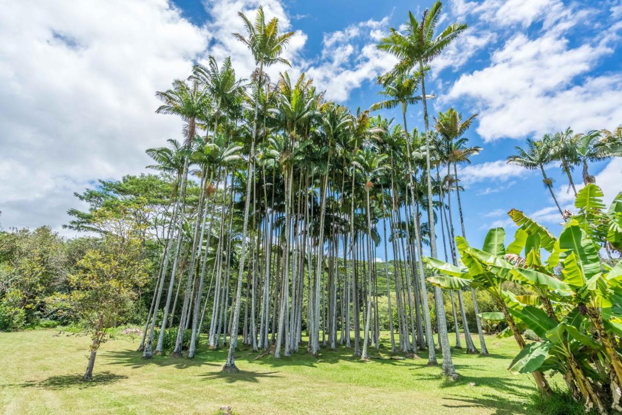 Old Hawaiian Bed And Breakfast Hilo Dış mekan fotoğraf